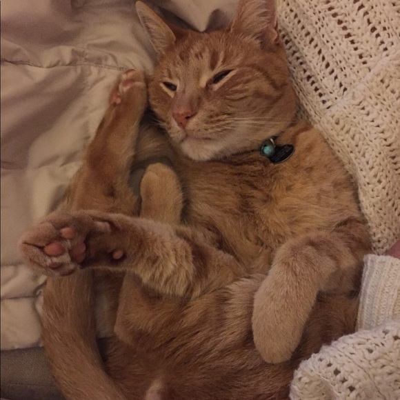 Meet your Posher, Amy Morgan - Picture 12 of 12